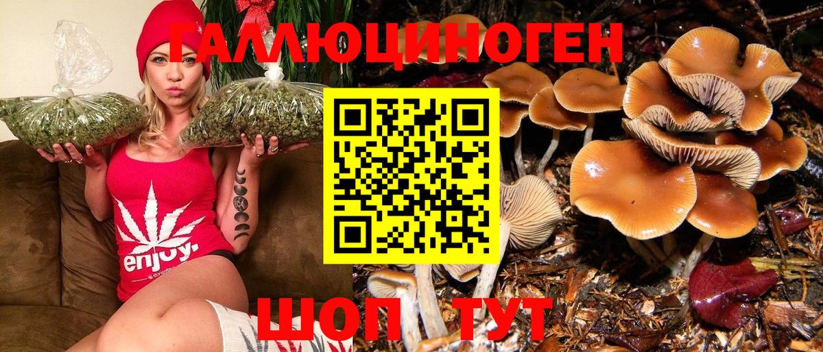 Псилоцибиновые грибы GOLDEN TEACHER Мытищи